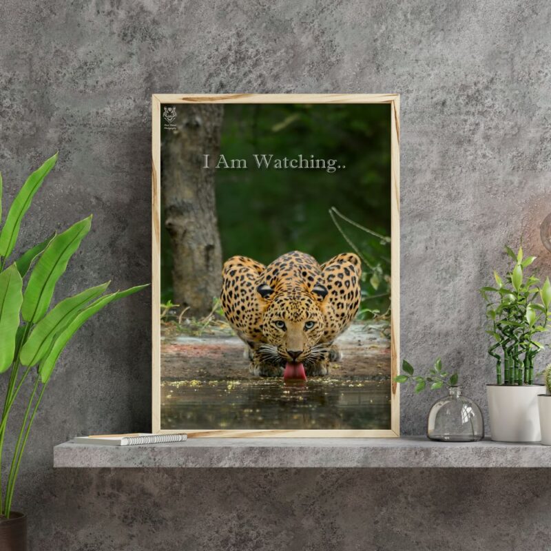 I Am Watching Wall Art Frame - Image 1